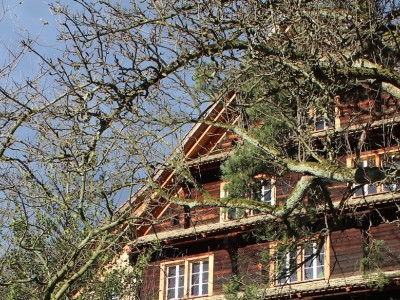 Bachmattlihof