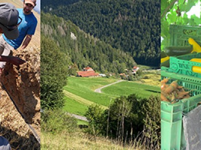 CEDD-Agro-Eco-Clim