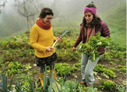 Les initiatrices, Madeleine Michel et Olivia Stafflage